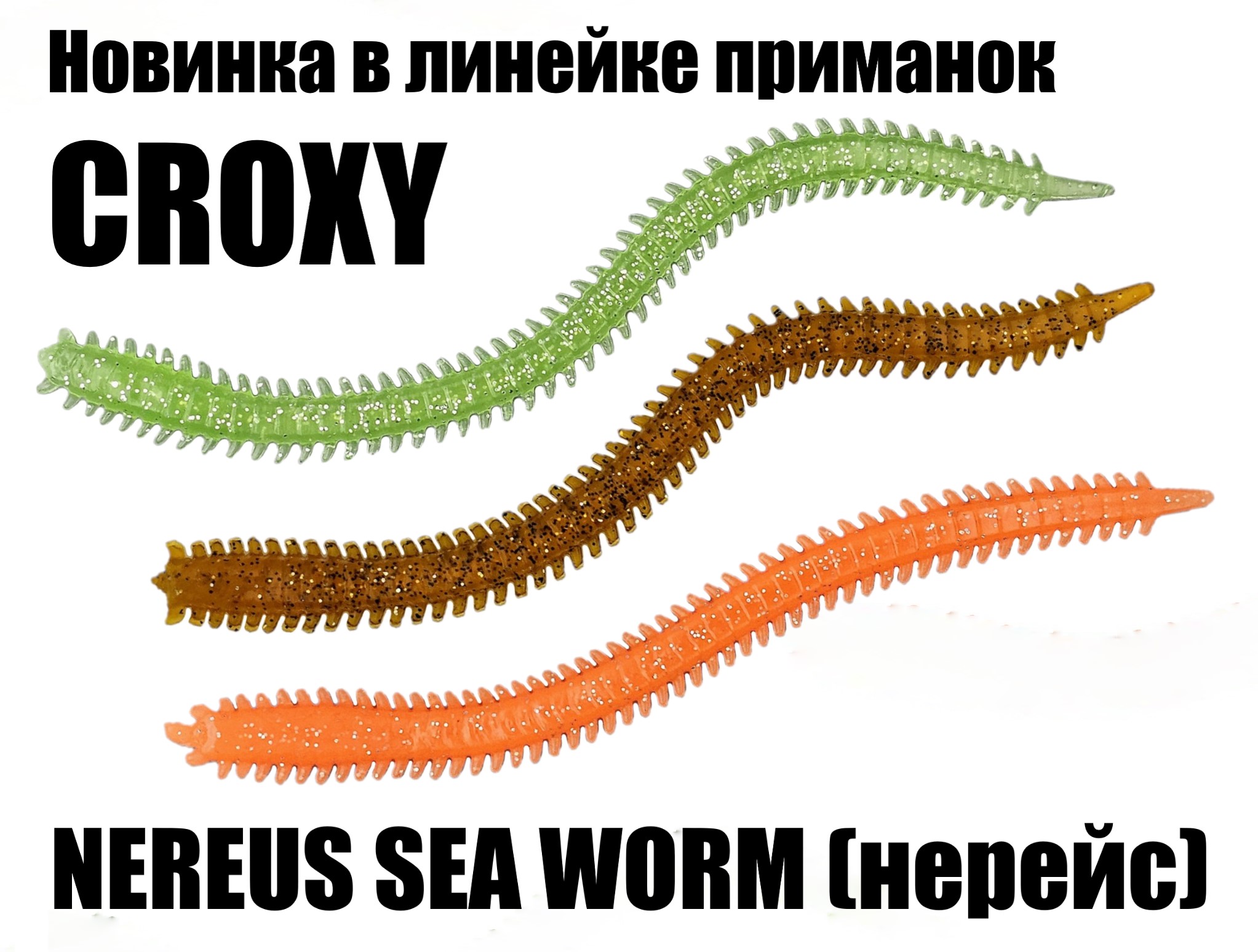 CROXY NEREUS SEA WORM
