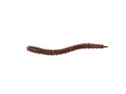 Приманка мягкая (CROXY) NEREUS SEA WORM 3,5'' цвет 23 (уп/6шт)