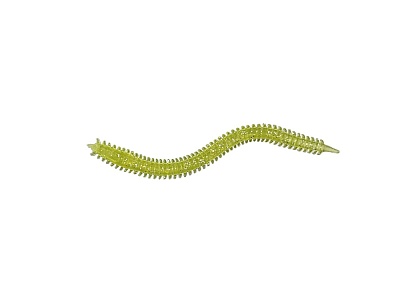Приманка мягкая (CROXY) NEREUS SEA WORM 3,5'' цвет 03 (уп/6шт)
