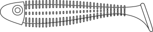 SKELETON