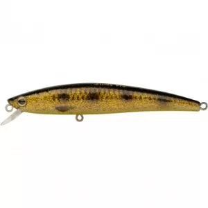 Minnow