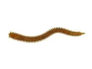 Приманка мягкая (CROXY) NEREUS SEA WORM 4,7'' цвет 26 (уп/5шт)