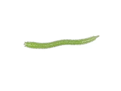 Приманка мягкая (CROXY) NEREUS SEA WORM 3,5'' цвет 25 (уп/6шт)