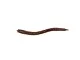 Приманка мягкая (CROXY) NEREUS SEA WORM 3,5'' цвет 23 (уп/6шт)