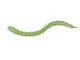 Приманка мягкая (CROXY) NEREUS SEA WORM 4,7'' цвет 25 (уп/5шт)